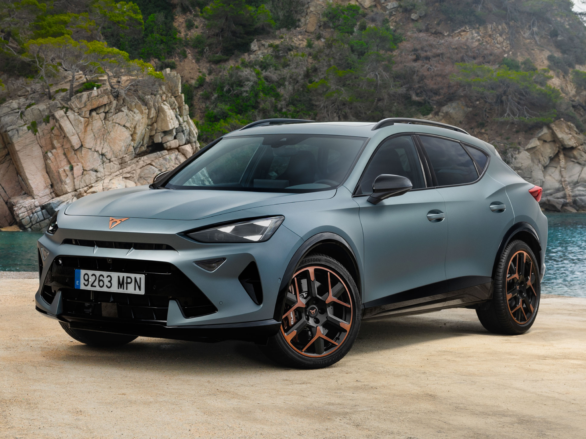 Cupra Formentor 1 Nieuwe chiptuning beschikbaar Audi Seat Skoda Volkswagen Chiptuning EGR Roetfilter Adblue 123performer Zottegem